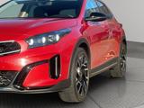 Kia XCeed Platinum 1,5 Edition AUTOM. PANOR. KIA-GAR - Kia XCeed mit Anhängerkupplung