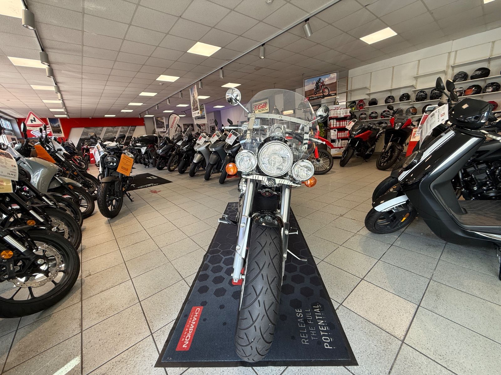 VZ 800/ Marauder 800