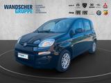 Fiat Panda MY25-Panda Hybrid 1.0 GSE 51kw 70PS PDC - Fiat Panda Gebrauchtwagen in Bremen