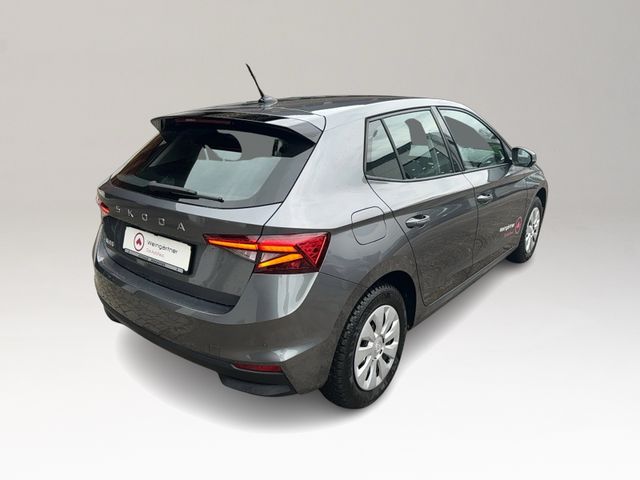 Fabia 1.0 TSI Selection, Winterpaket, Lenkradhei