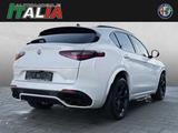 Alfa Romeo Stelvio Quadrifoglio V6 2.9 Bi-Turbo AT8-Q4 - Alfa Romeo Stelvio Quadrifoglio mit Benzin-Antrieb