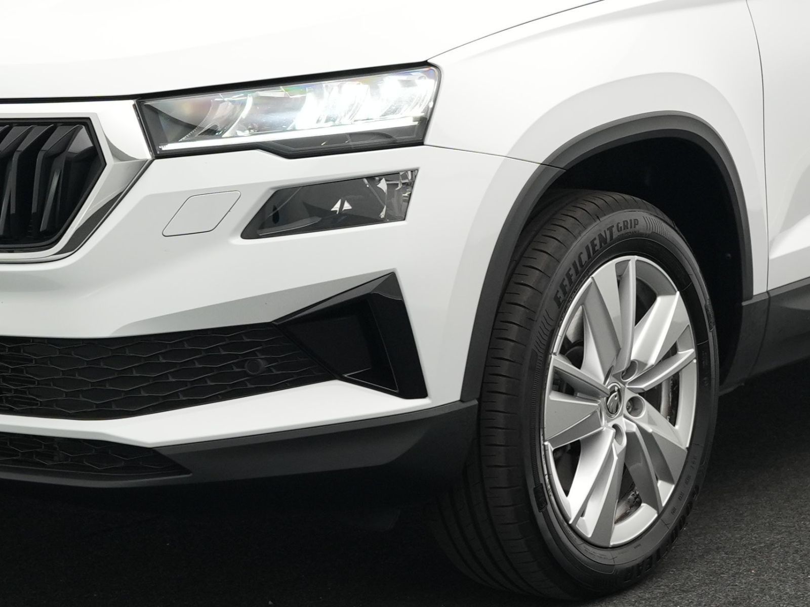 Skoda Karoq - Bild 22