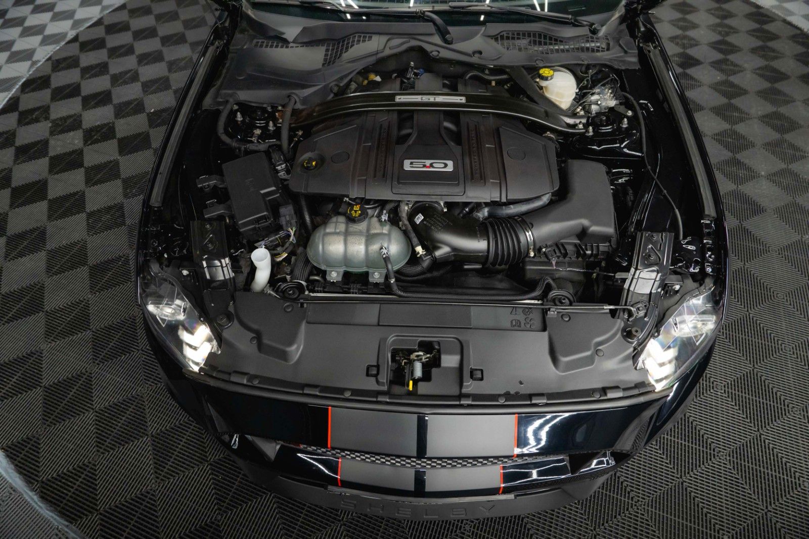 Fahrzeugabbildung Ford Mustang Shelby GT 500 5.0 V8 Performance PREMIUM