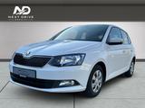 Skoda Fabia 1.2l TSI Ambition*SHZ*8FACHBEREIFT - Skoda Fabia: 1.2