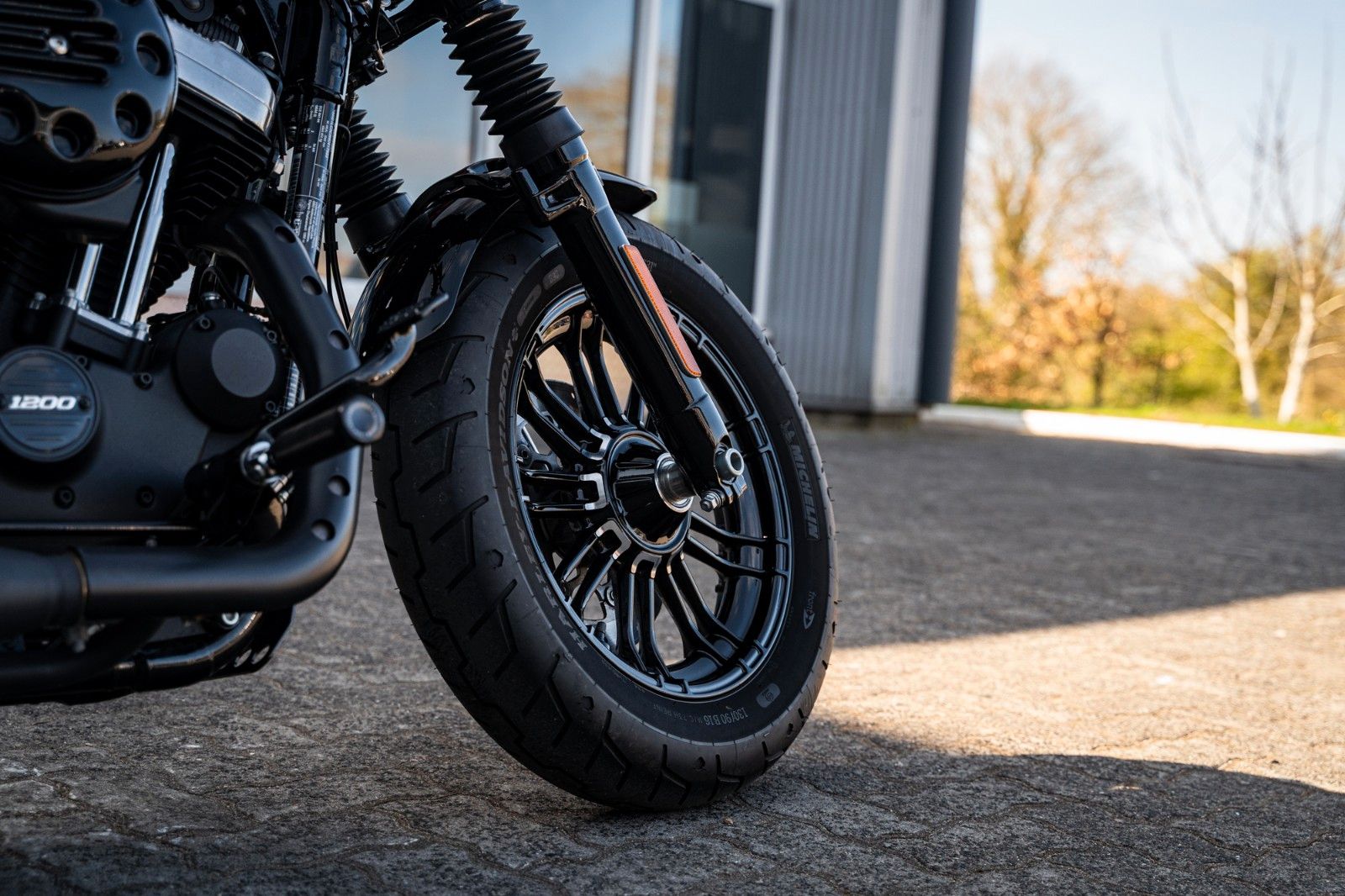 Fahrzeugabbildung Harley-Davidson XL1200X SPORTSTER FORTY-EIGHT - KESSTECH- BOBBER
