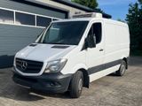 Mercedes-Benz Sprinter 313 Kühler Thermo King V 200 - Mercedes-Benz The
