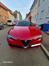 Alfa Romeo Stelvio 2.0 Turbo 16V 206kW Super AT8-Q4 Super - Alfa Romeo Stelvio: Privatanbieter