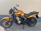 Honda CBF600NA sehr gepflegt, Garagenfahrzeug - HONDA ABS CBF 600 N