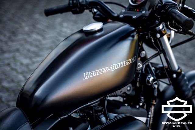 Fahrzeugabbildung Harley-Davidson XL883N SPORTSTER IRON - HEIZGRIFFE - Wartung neu