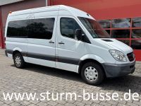 Sprinter 316 Bild 1