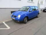 Volkswagen LUPO 1,4l 75PS TÜV Mai 2026 3.Besitzer - Volkswagen Lupo: 1.7