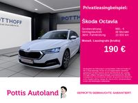 Skoda Octavia - Vorschau Bild 1