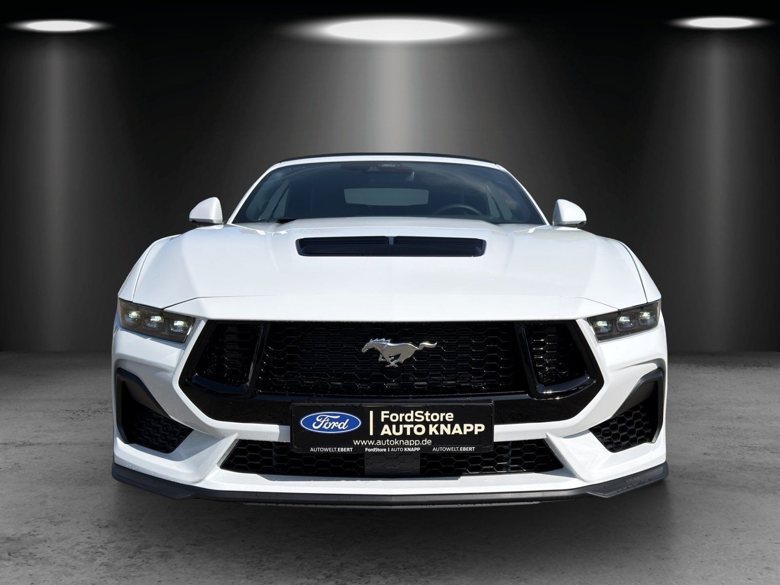 Fahrzeugabbildung Ford Mustang Convertible GT 446PS MagneRide