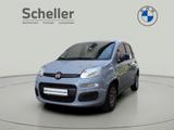 Fiat Panda Easy *Verkauf nur an Händler* - Fiat Panda: Easy