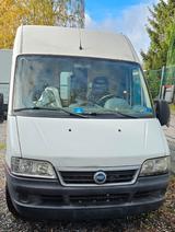 Fiat Ducato - Fiat Ducato in Essen