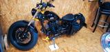 Andere Bramos - BENZIN CHOPPER