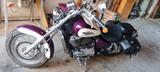 Honda Shadow ACE SC 32 - Offers