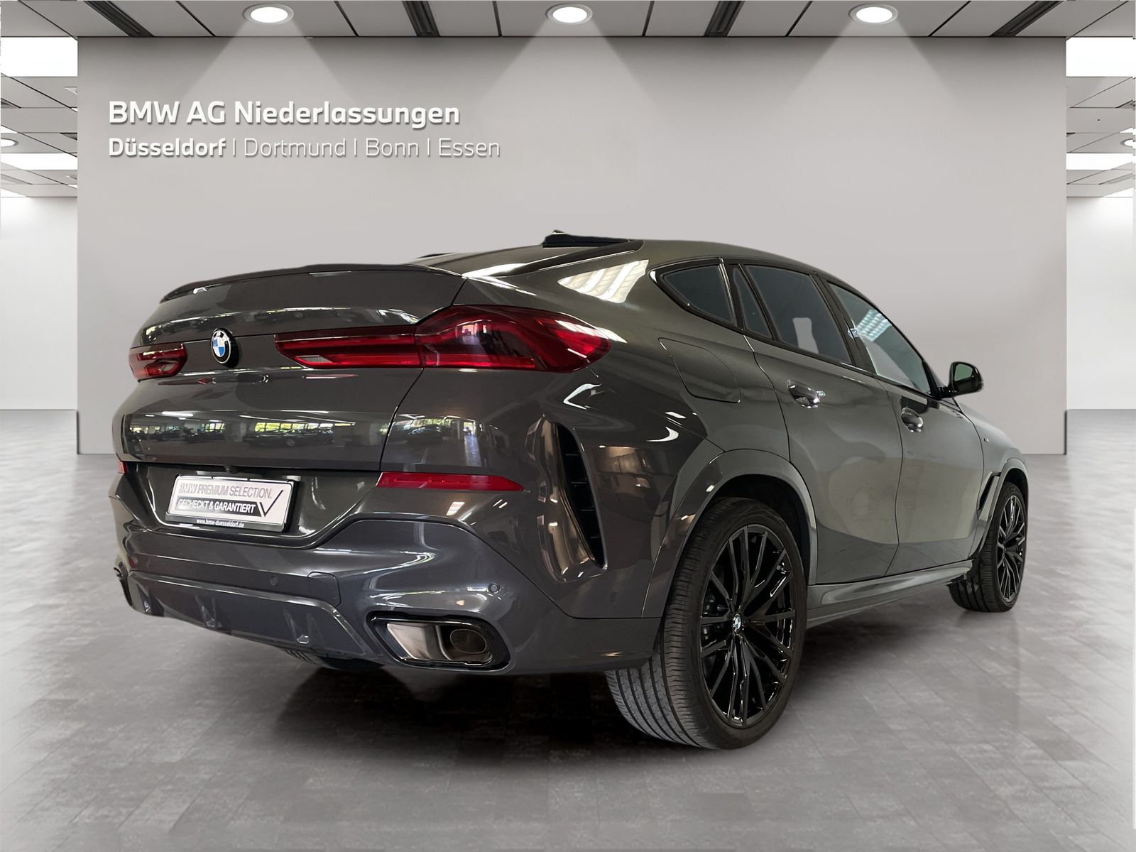 BMW X6 xDrive40i M Sport Driv.Assist.Prof Head-Up foto 2