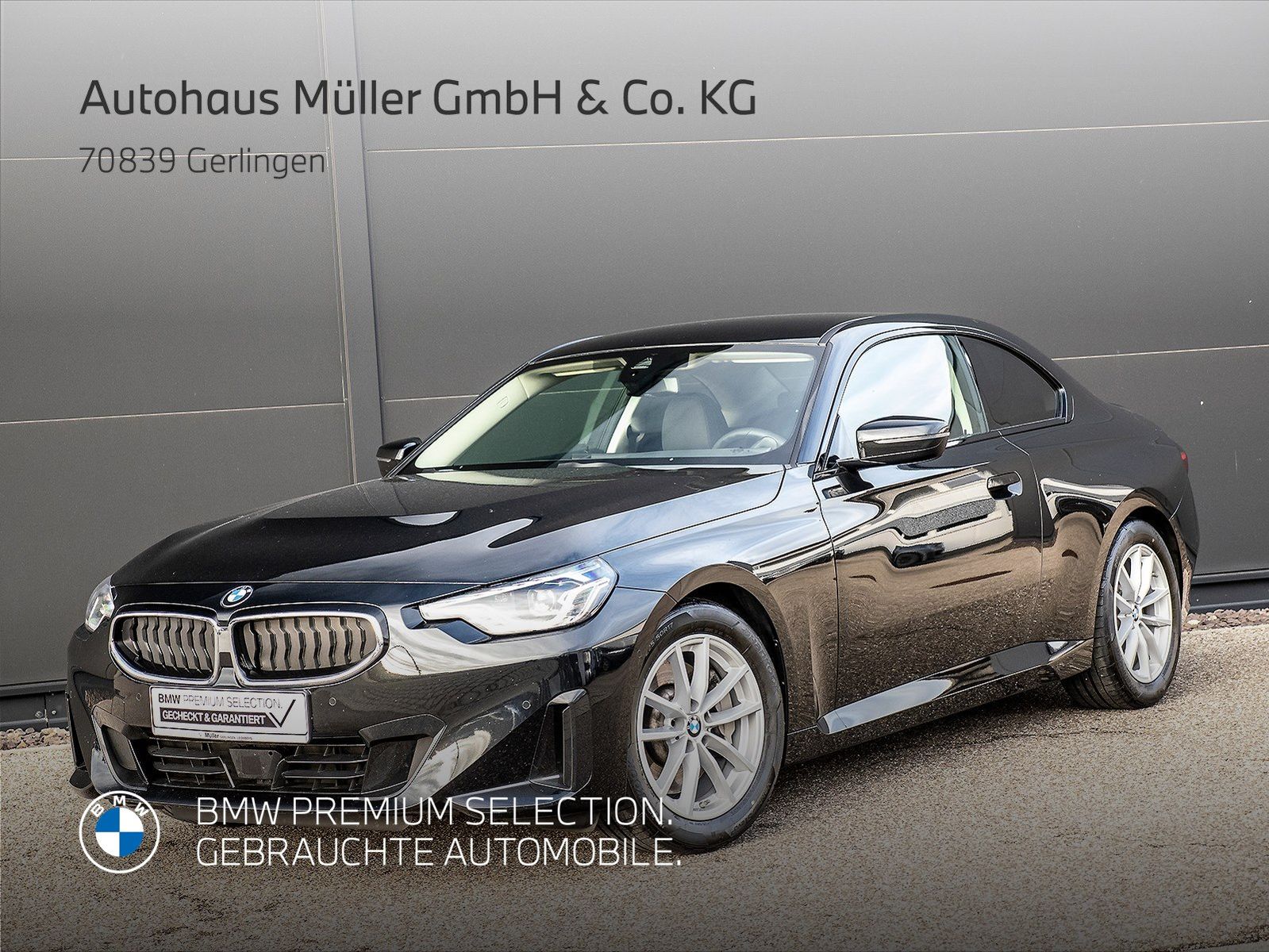 BMW 230i Coupé DAB Adapt-LED SH Kamera HiFi 1VB