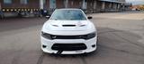 Dodge Charger - weiße Dodge Charger