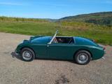 Austin Healey Sprite MK1 (Winterpreis) - Austin Healey Gebrauchtwagen