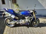 Honda Hornet PC36 - Angebote entsprechen deinen Suchkriterien