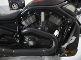 Harley-Davidson VRSCDX Night Rod Special - HARLEY-DAVIDSON VRSC NIGHT ROD