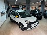Fiat Panda Pandina Cross 1.0 Hybrid Vari Colori - Fiat Panda Jahreswagen
