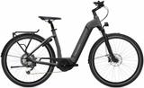 Flyer G1 Gotour6 3.10 XL - Flyer E-Bikes