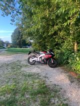 Aprilia Rs 125 - APRILIA RS 125