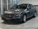 Mercedes-Benz E 250Limo Avantgarde SKR INKL LED+COMAND+PDC&KAM - Mercedes-Benz: Sk