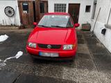 Volkswagen VW Polo 6N 76.811km  Bj 1994 - gebrauchte VW Polo aus dem Jahr 1994