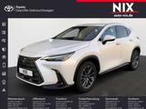 Lexus NX 450h+ E-FOUR Business KAMERA - Lexus NX-Serie Benziner Gebrauchtwagen