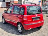 Fiat Panda 1.2 8V Dynamic Automatik - Fiat Panda: Dynamic