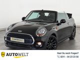 MINI Cooper Cabrio BLUETOOTH+PDC+SHZ+TEMP+KLIMA+ - MINI Cooper Cabrio aus 2016