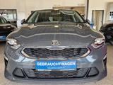 Kia Ceed Platinum *Pano, Sitzbelüftung* - Kia cee'd / Ceed in Köln
