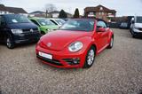 Volkswagen Beetle Cabriolet Design KLIMA SHZ BLUETOOTH - Volkswagen Beetle: Rot