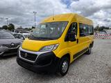 Fiat Ducato Luxusbus Panorama Modular 33 150 L2H2 RS: - Angebote