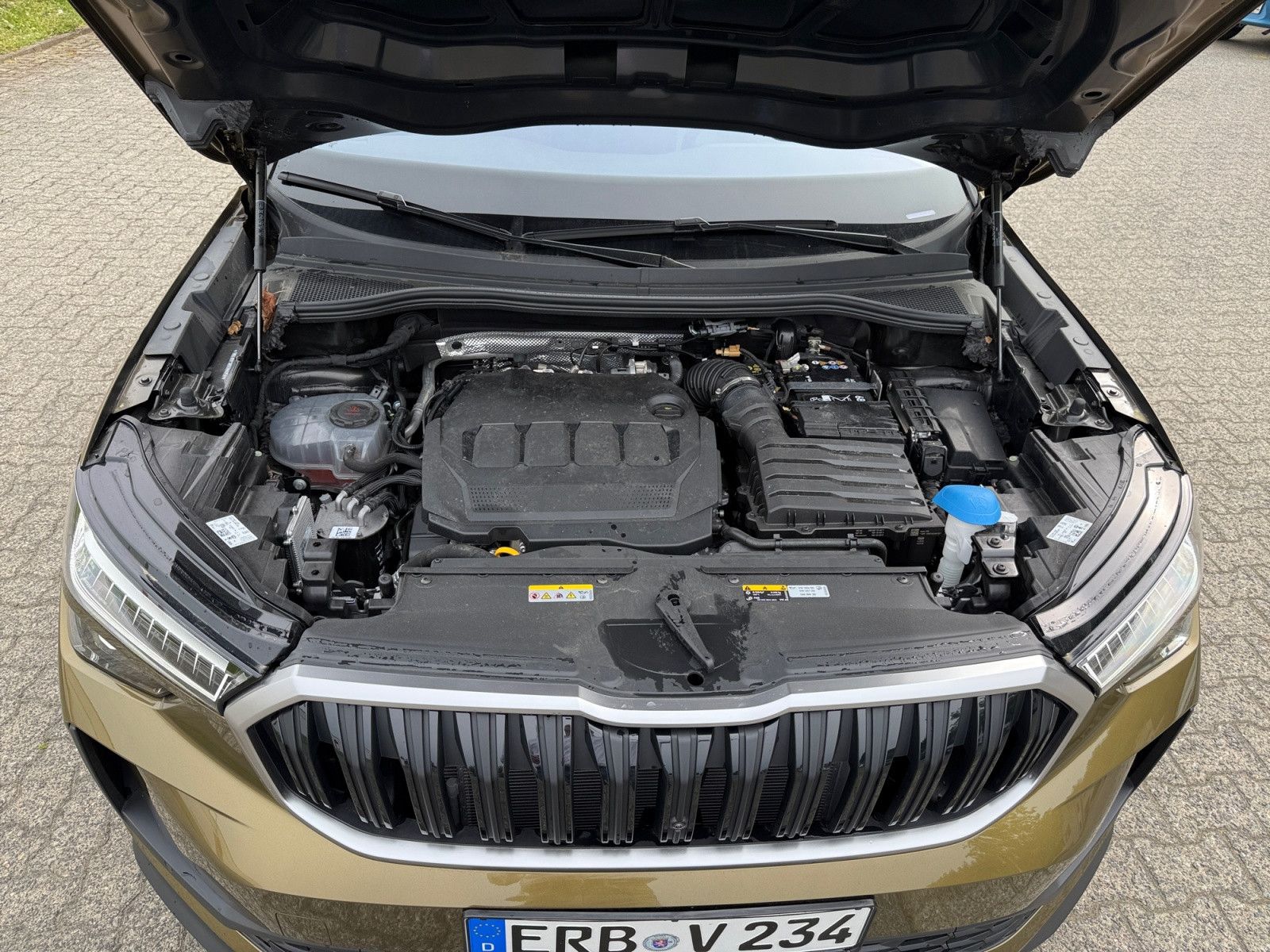 Kodiaq 2.0 TDI Selection 142 kW 4x4 DSG AHK Cant