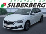 Skoda Scala Tour 1.0TSI 110PS AHK LED 17" Carplay - Skoda Scala Gebrauchtwagen in Dresden