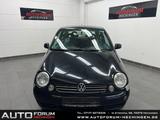 Volkswagen Lupo Comfortline College TÜV JAN 26 - Volkswagen Lupo: Comfortline