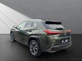 Lexus UX 250H*1HAND*TOTW*SCHECKHEFT* - Lexus UX aus 2020