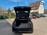Skoda Octavia Combi 130 JAHRE PREM  5J-GARA RFK ACC... - Skoda in Bielefeld