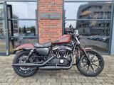 Harley-Davidson XL883N Iron TOP Zustand!!! - HARLEY-DAVIDSON 883 IRON