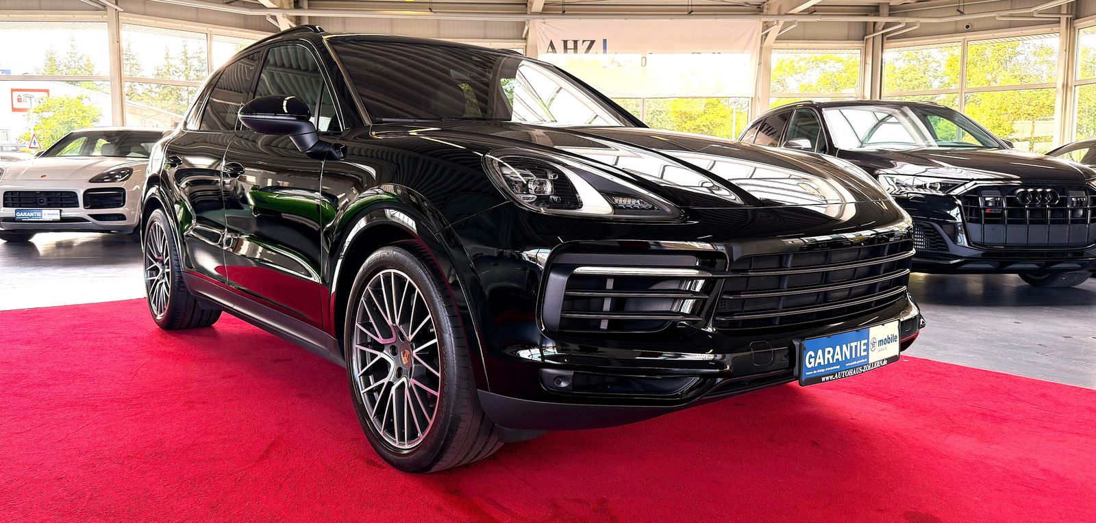 Porsche Porsche Cayenne Platinum Edition/PANO/BOSE/LUFT/RF