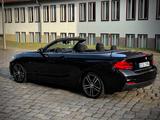 BMW 220d Cabrio M Sport | LED | Navi Pro | Harma - BMW 220 Gebrauchtwagen in Berlin