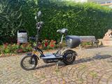 Other Revoluzzer-45 mit 1,2 KW E-Motor (Nabenmotor) - Offers matching your search criteria