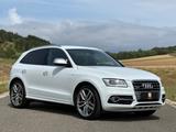 Audi SQ5 TDI competition/B&O/Standhzg./AHK/Kamera/21" - Audi SQ5: TDI