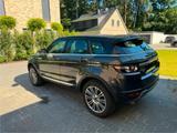 Andere Range Rover Evoque *top Zustand* - Andere mit Benzin-Antrieb: Geländewagen