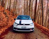 Volkswagen Polo 1.8 TSI GTI230 - Limitiertes Sondermodell - : Schweiz